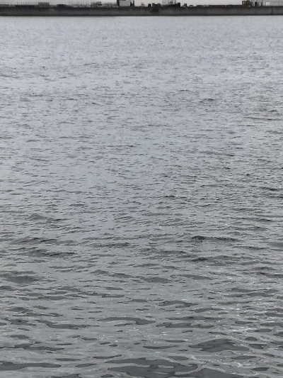 オクトパッシング