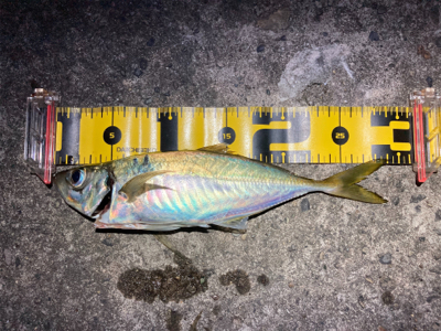 フロートアジング