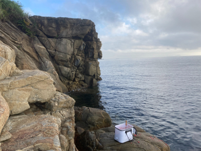 しまなみ沖磯グレ