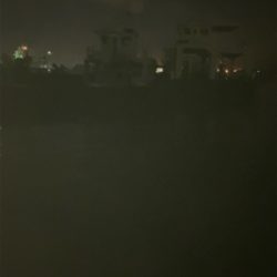 やっぱりヒイカいた(^.^)