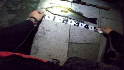 ジョイクロシーバス