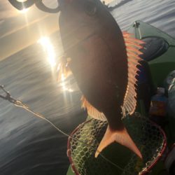 カヤックフィッシング