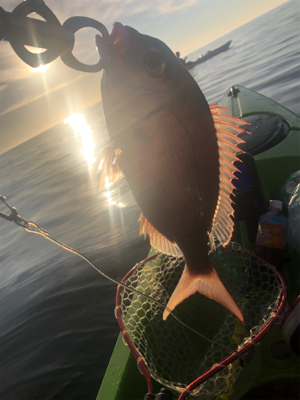 カヤックフィッシング