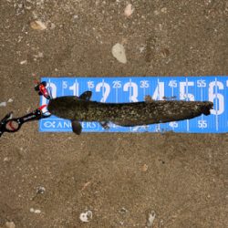 夕方から夜にかけてランガン