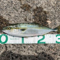 久しぶりのあの感触