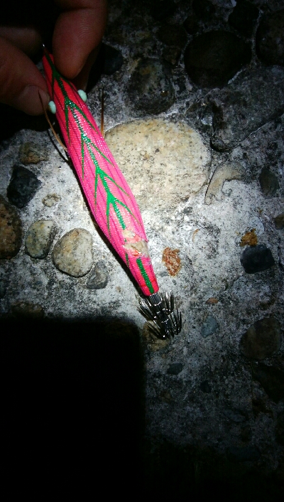 春？夏！　障泥烏賊1杯！