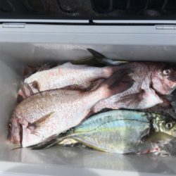 炎天下の海上釣り堀