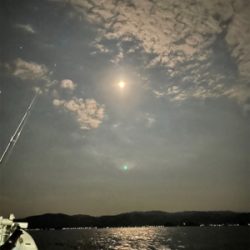 月夜のイカメタル