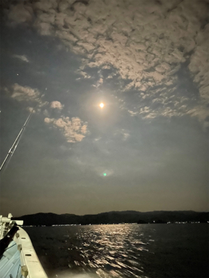 月夜のイカメタル