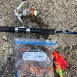 ⭐︎試行錯誤しながら