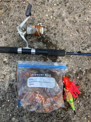 ⭐︎試行錯誤しながら