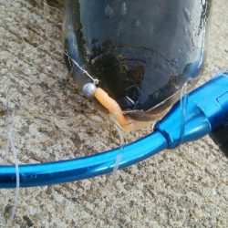 『釣りデビュー(^.^)』207