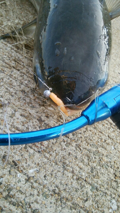 『釣りデビュー(^.^)』207