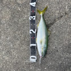 ショアジギング