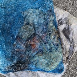 ダイソーエギ改