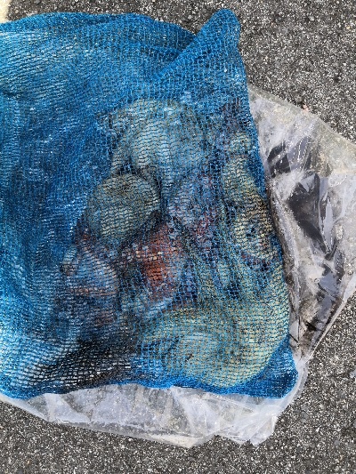 ダイソーエギ改