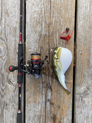 ショアタイラバ