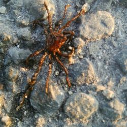 『釣りデビュー(^_-)』210