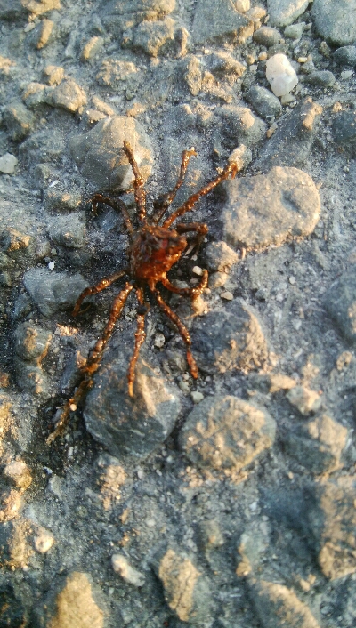 『釣りデビュー(^_-)』210