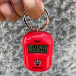 ハードロックポイントでHC蛸散歩。7杯。。