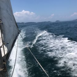 ライトジギング