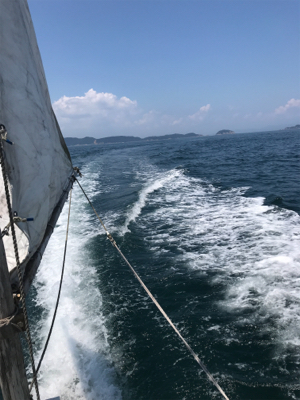 ライトジギング