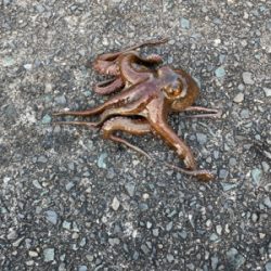 なんとかんとか