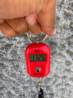 ハードロックポイントHC蛸散歩。6杯1725g。。