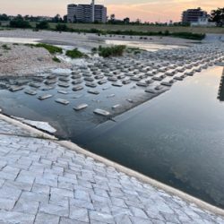 夕まづめにナマズゲーム