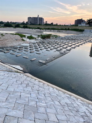 夕まづめにナマズゲーム