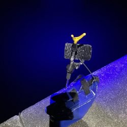 アジいました。