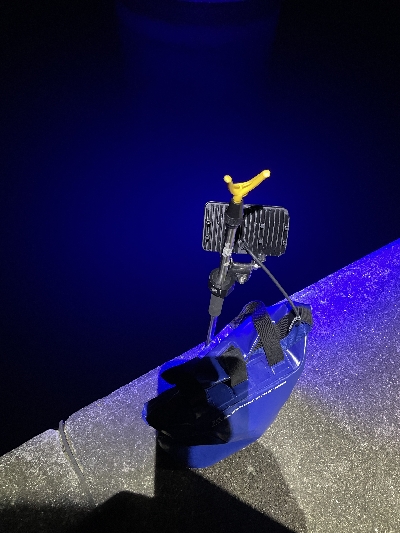 アジいました。