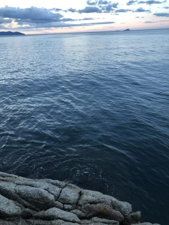 ふらットフィッシュ