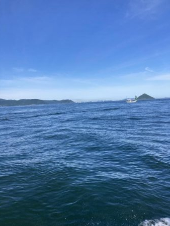 一つテンヤの珍客