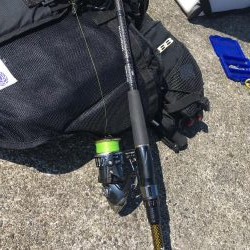 ガシラ良型豊漁