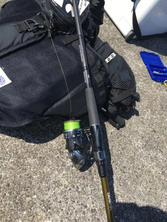 ガシラ良型豊漁