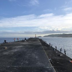 2年ぶりのカツオ