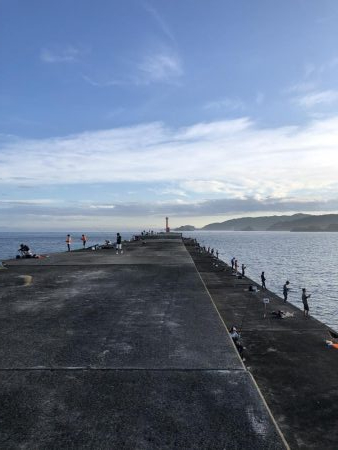 2年ぶりのカツオ