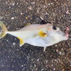 千葉港大潮の土曜日は朝から混んでた