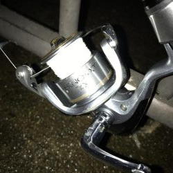 大サバようやくキャッチ