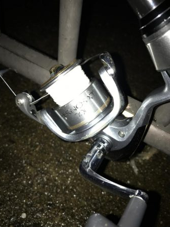 大サバようやくキャッチ