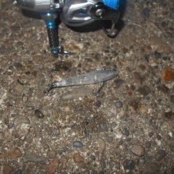 ブレイク周りでヒット