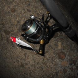 北風で活性UP？