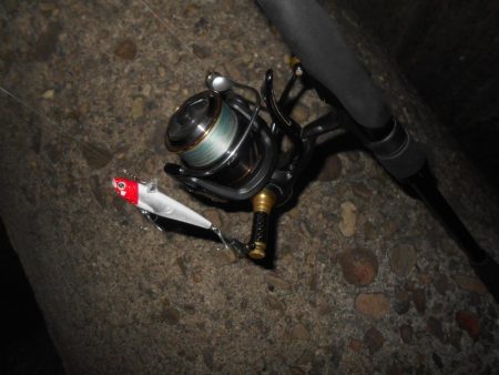 北風で活性UP？