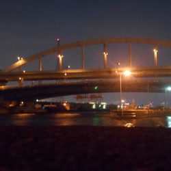 岸壁ノックでボウズ逃れ？