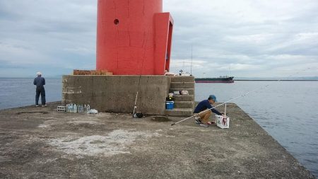 相変わらずピンギスばかりです