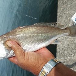 シーズン初の高砂釣行