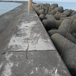 高砂釣行３