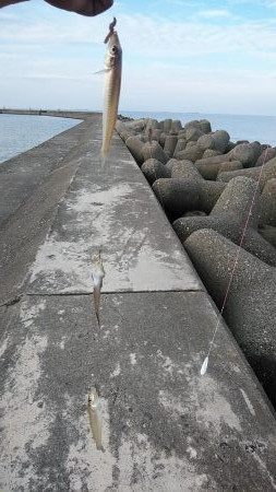 高砂釣行３