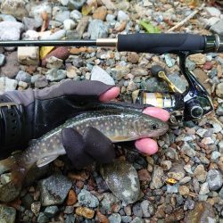 初めての渓流ルアー